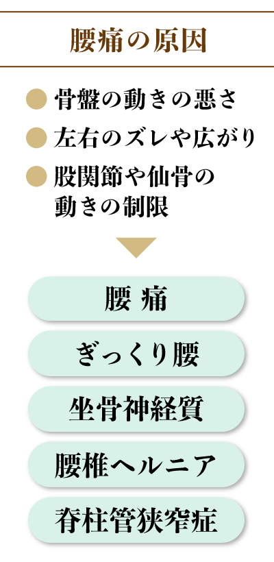 腰痛の原因「骨盤の動きの悪さ」「左右のズレや広がり」「股関節や仙骨の動きの制限」→腰痛、ぎっくり腰、坐骨神経痛、腰椎ヘルニア、脊柱管狭窄症